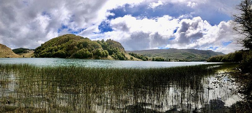 Parcela 1 Ha Con 80 Mt De Orilla De Lago Castor