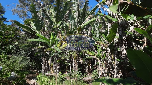 Imagem 5 de 16 de Casa Térrea Para Venda No Bairro Batistini - 10915