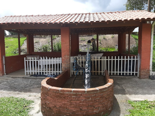 Imagem 15 de 22 de Chacara - Ch00023 - 69981433
