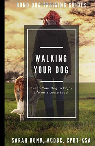 Walking Your Dog Teach Your Dog To Enjoy Life On A Loose Lea