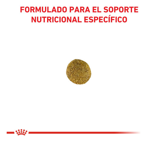 Royal Satiety Feline Gato Pack 2 Bolsas X 1.5 Kg (3 Kg)