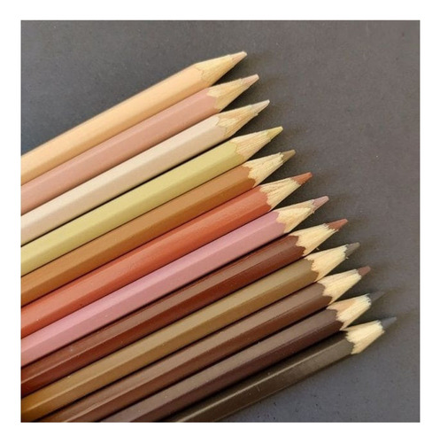 Lápis De Cor Tons De Pele 12 Cores+ 2 Quadrinhos Mdf Colorir Multicolor