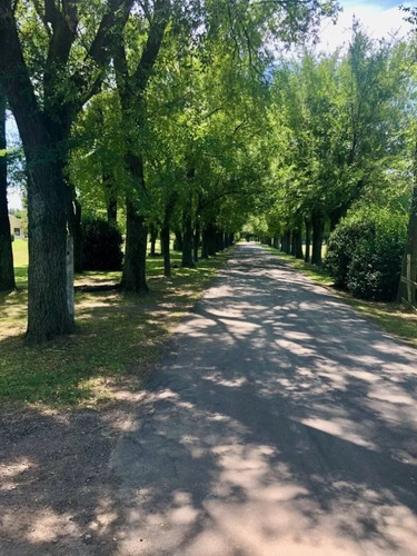 Imagen 4 de 9 de Terreno En Venta En La Magdalena