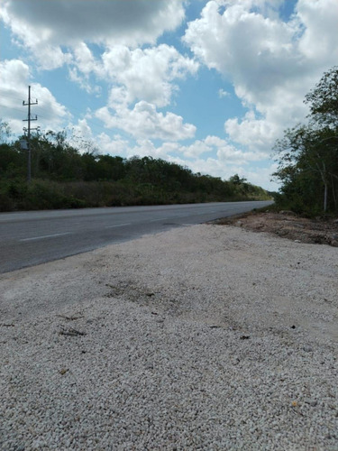 Terrenos En Tulúm&francisco Uh May: Naturaleza, Inversión Y Financiamiento Fácil