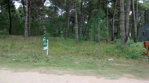 Lote Zona Álamos Ii- Cul De Sac De Estribor