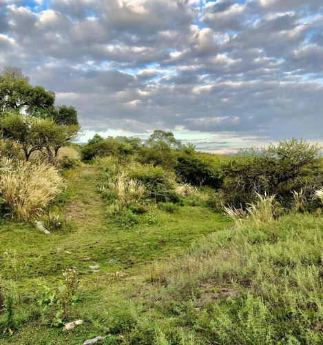Imagen 7 de 12 de Campo - Villa Del Dique