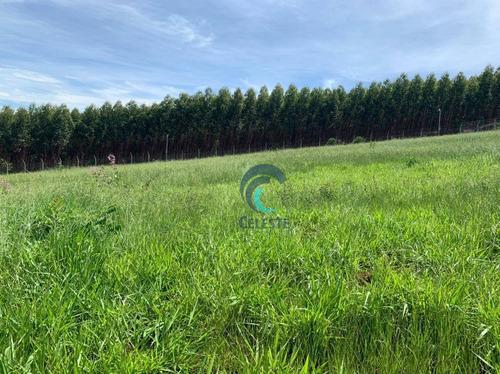 Imagem 2 de 4 de Terreno À Venda, 1200 M² - Condomínio Terras De Santa Mariana - Te0178