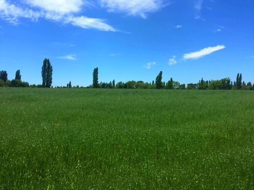 Parcelas A Minutos Centro Urbano Longaví Con Tierra Fértil