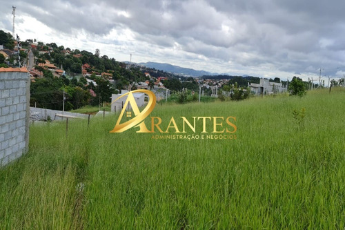 Imagem 7 de 13 de Terreno - Te00070 - 70750392