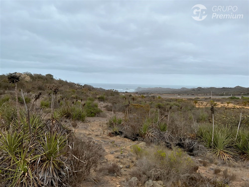 Parcela En Condominio Cerrado Vista Al Mar 5.000 M2