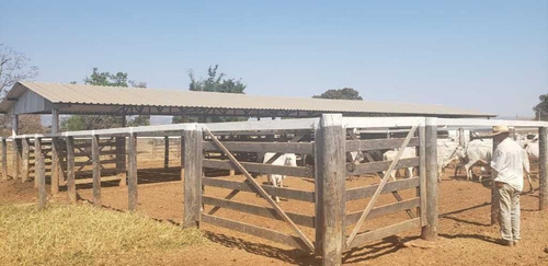 Fazenda De Gado Arinos Mg 2.250 Hectares 65.000,000,00 - 38491