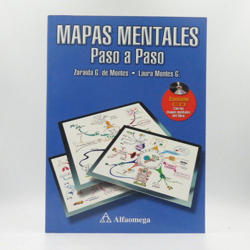 Mapas Mentales Paso A Paso Zoraida G. De Montes, Laura Monte