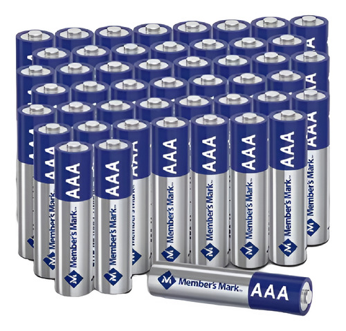 Pila Alcalina Member's Mark Aaa 48 Pzas