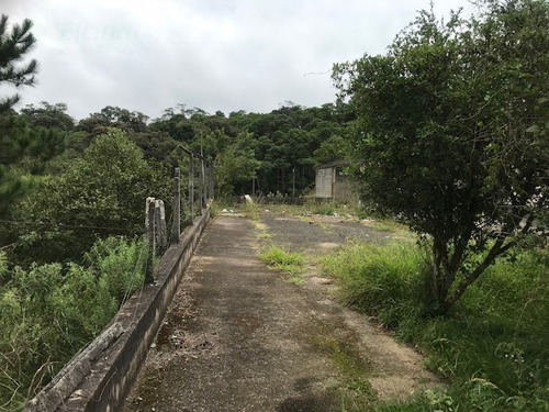 Imagem 14 de 21 de Rural Para Venda, 0 Dormitórios, Dos Pereiras (caucaia Do Alto) - Cotia - 2886