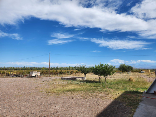 Bodega Y Finca En Venta