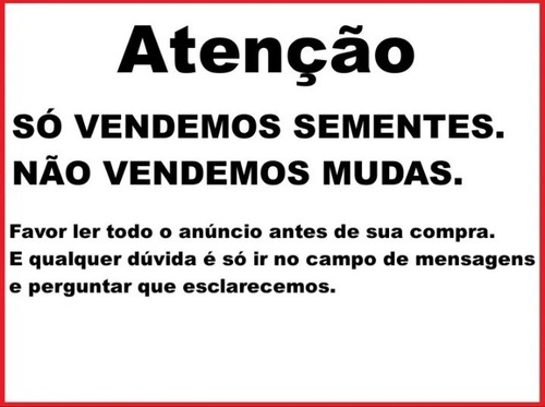 250 Gramas De Amendoim Preto Black Para Plantio Com Casca