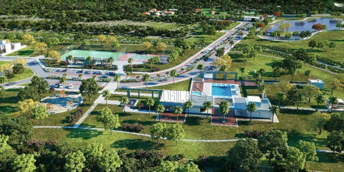 Terreno À Venda, 603 M²- Ratones - Florianópolis/sc - Te0215
