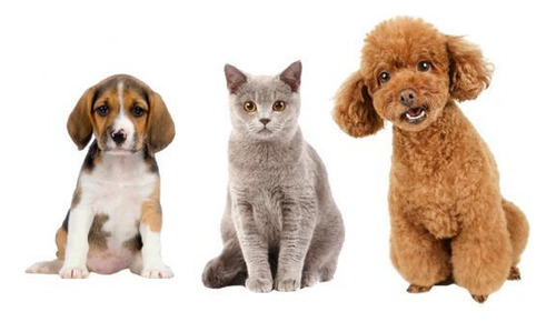 Tijera De Corte De Pelo Para Perros Y Gatos 6,5 Pulgadas