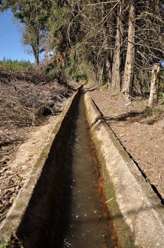 Imagen 9 de 12 de Amplio Rancho: Privado, Verde Y Fértil