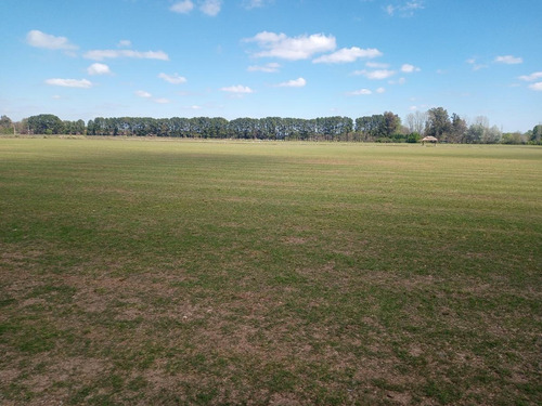 Imagen 4 de 30 de Campo En Venta Zona Polo, Pilar, Con 2 Canchas De Polo Y Varias Mejoras