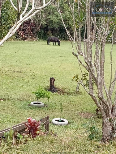 Imagem 9 de 25 de Chácaras À Venda Em Nazare Paulista/sp - Compre O Seu Chácaras Aqui! - 1480345