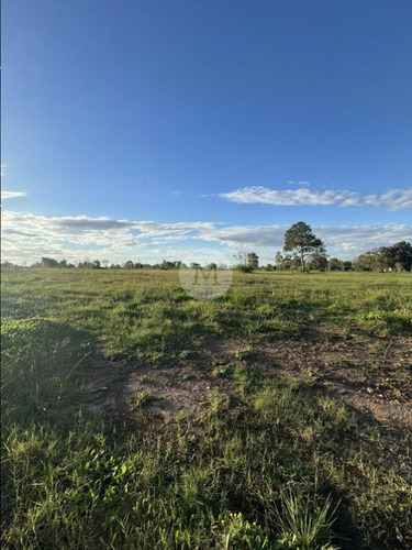 Venta Terreno Fase 3 En Olivos De Los Horneros
