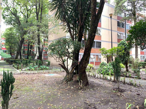 Imagen 13 de 14 de Venta Departamento Zacatenco Lindavista