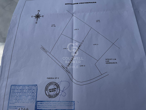 Parcela Puerto Octay Circuito Lago Llanquihue