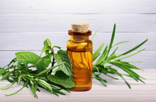 Aceite Esencial De Árbol De Te 100 Mililitros