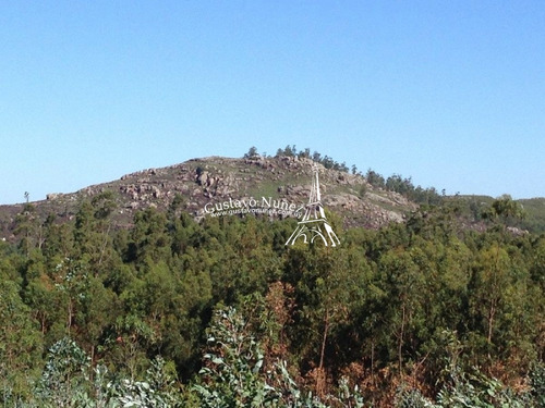Chacra En Piriapolis De 5hás. En Cerro Pan De Azúcar.- Ref: 2623