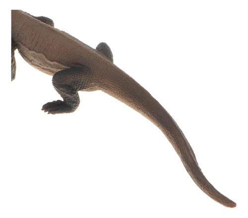 Figuras De Modelo De Lagarto Monitor