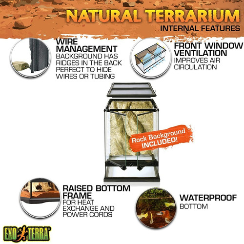 Imagen 8 de 9 de Terrario Reptiles Insectos Medium Xtall Exo Terra 60x45x90cm