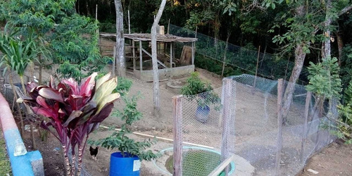 Imagem 9 de 14 de Sitio Para Temporada Barato
