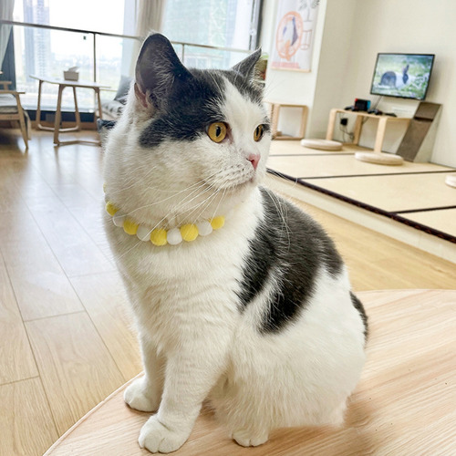5 Collares De Peluche Para Mascotas Con Pompones De Colores