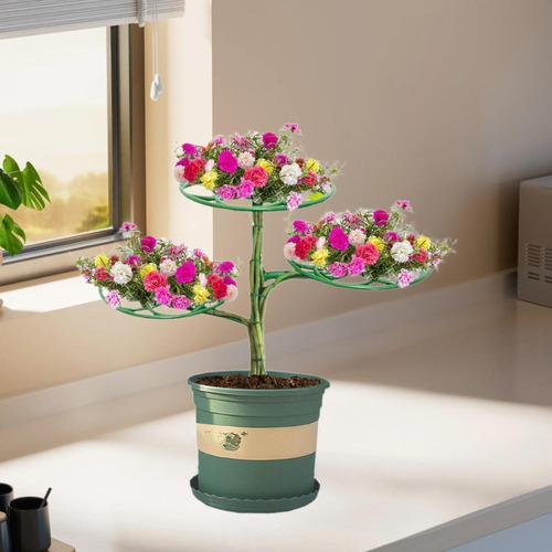 Estacas De Soporte Para Plantas, Estacas De 3 Niveles