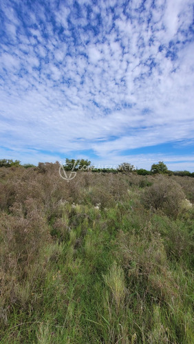 Venta Campo Sauce Totoral Canelones 9 Hectáreas Y Media Agricola Ganadero Ruta 86