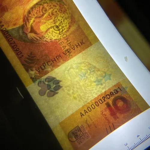 Abkhazia 10 Apsar 2024 Unc Leopardo Nuevo País