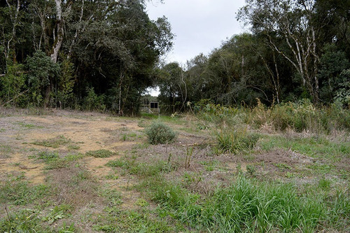 Imagem 19 de 20 de Área De 113.525 M² Ou 11,35 Hectares Com Aproximadamente 250 Metros De Frente Para A Estrada Paulo Ivankio Na Colônia Marcelino Em São José Dos Pinhais/pr.