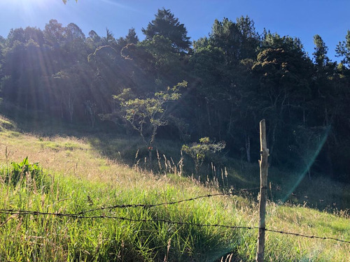 Venta Lote En Medellin Corregimiento De Santa Elena 