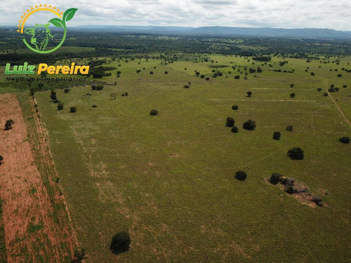 Imagem 11 de 15 de Fazenda À Venda Em Fátima - To-excelente P/ Lavoura, Plantio De Até 800 Hec - 1617