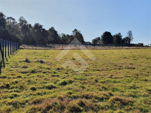Imagen 3 de 11 de Parcela En Venta En Puerto Varas