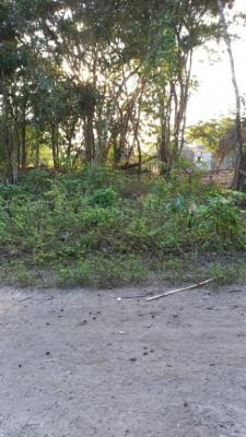 Imagem 3 de 5 de Terreno Com Escritura Medindo 181m² De Área Em Itanhaém Sp