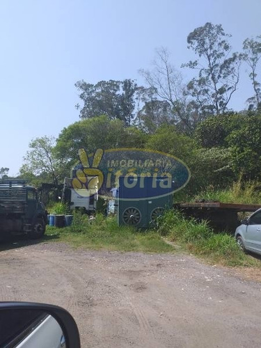 Imagem 24 de 27 de Terreno Para Locação No Bairro Alvarenga, 15800 M - 8875