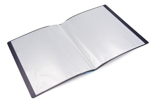 Carpeta Con 60 Fundas Transparentes Tamaño Oficio