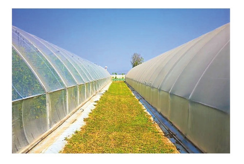 Tuneles Nylon Agropecuario Invernadero Con Filtro Uv - Promo