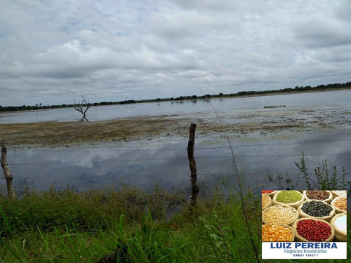 Imagem 2 de 15 de Fazenda À Venda Em Formoso Do Araguaia-to - 1.771 Hectares (dupla Aptidão) - 1618