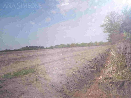 Imagen 4 de 10 de Campo De 81 Ha En Excelente Ubicación Frente A Ruta