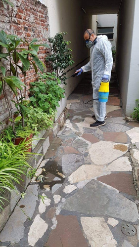 Imagen 3 de 5 de Fumigación Desratización Desinfección