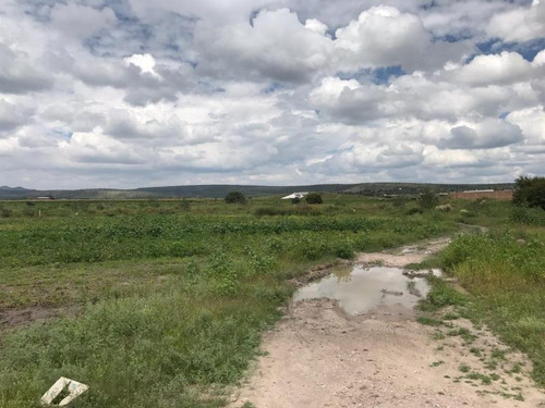 Imagen 5 de 8 de Terreno En Venta El Nayar