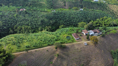 Se Vende Finca Quimbaya Quindío